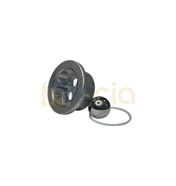 Kit Vlvula de Entrada 395/490/495 - 246429 Original Graco